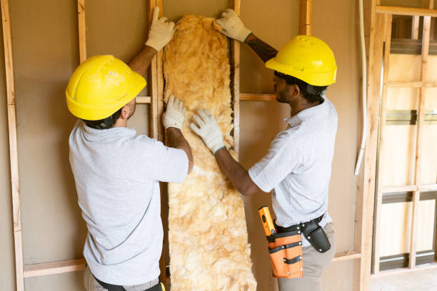 Best Insulation Air Sealing  in Durango, CO